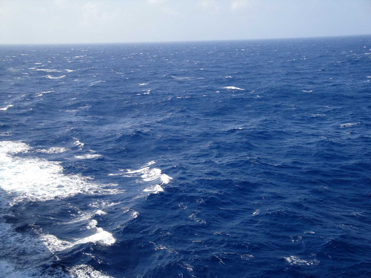 The Sargasso Sea in the middle of the Atlantic Ocean is the only sea 